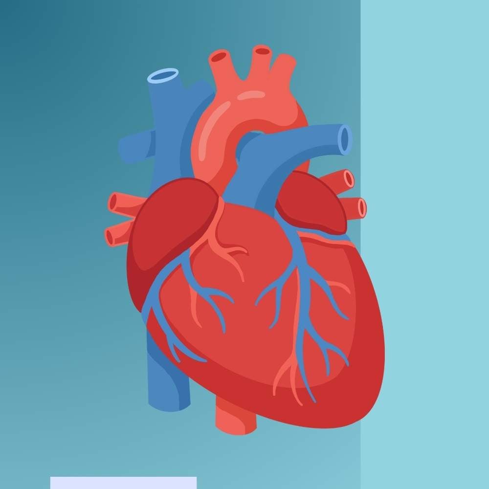 Cardiology