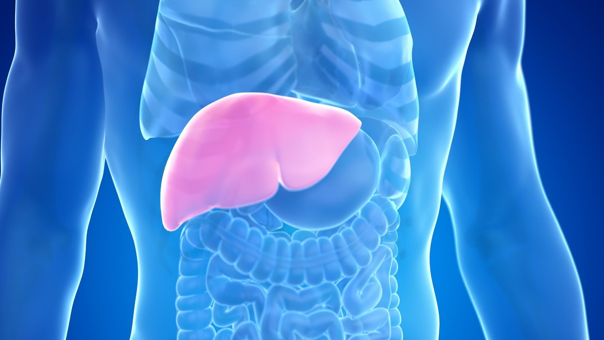 FibroScan liver elastography exam at King City Diagnostic Imaging