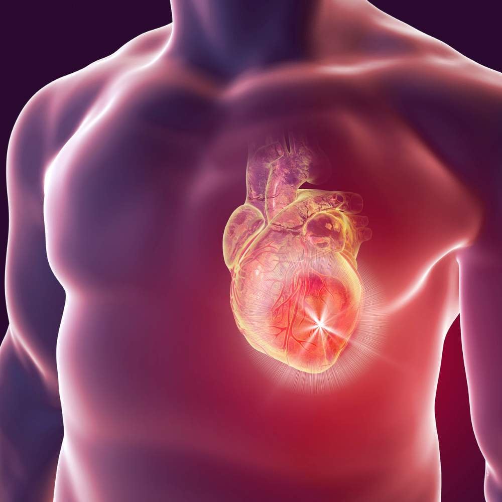 Cardiology testing King City – ECG and cardiac testing at King City Diagnostic Imaging